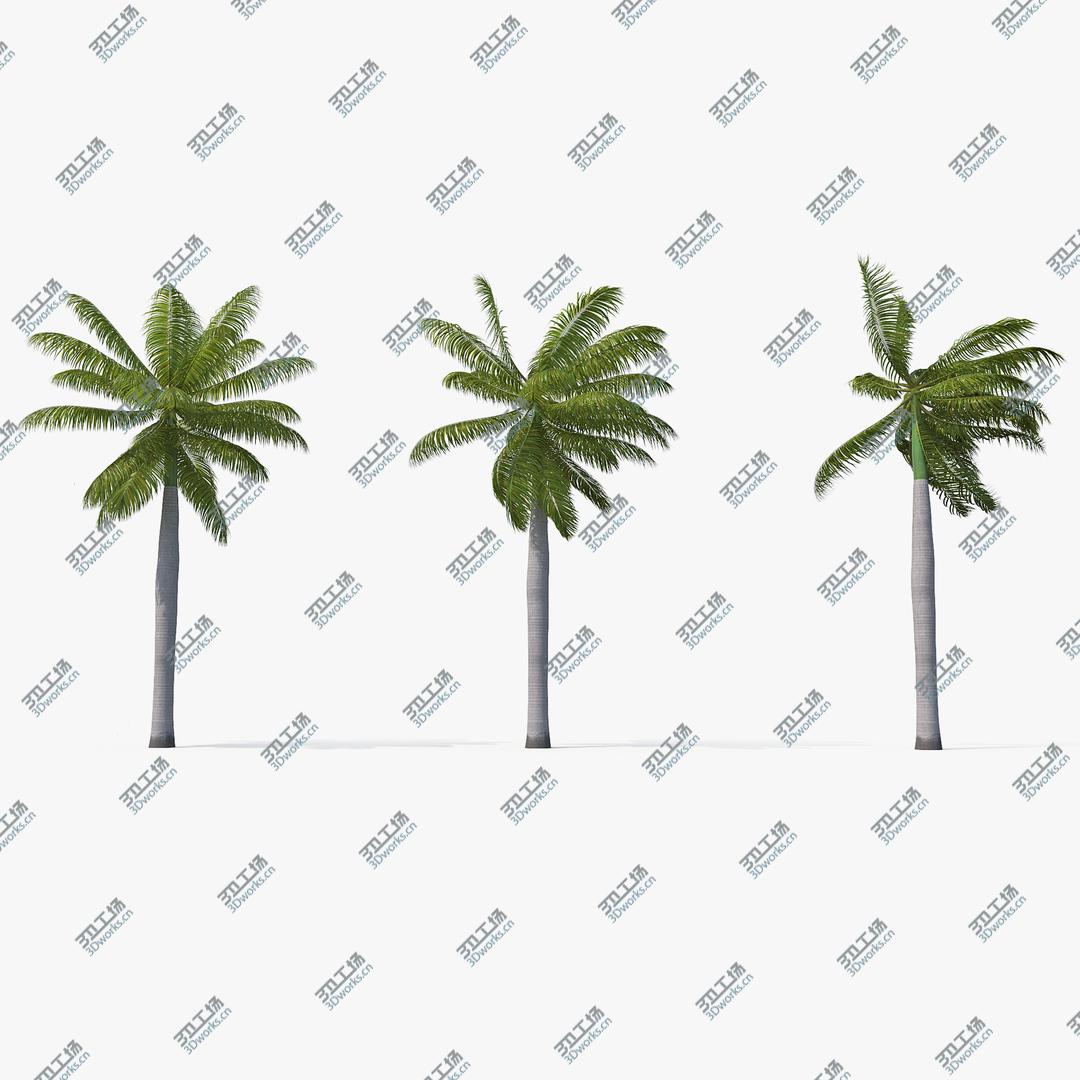 images/goods_img/2021040162/Palms Royal 03 3D/1.jpg